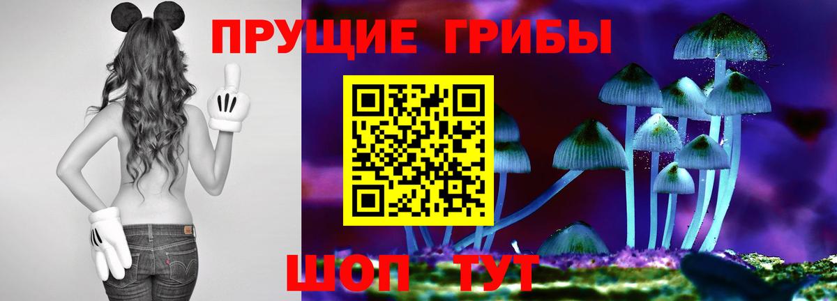 как найти наркотики  Псилоцибиновые грибы GOLDEN TEACHER  Вход с VPN  Псилоцибиновые грибы мицелий  Холмск 